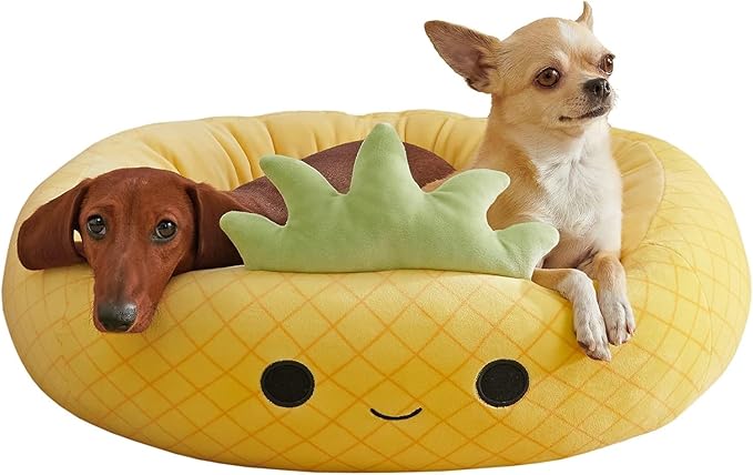 Pineapple Squishmallow Pet Bed with Dachshund and Chihuahua